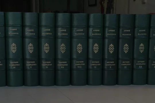 La reliure artisanale : tradition et passion du livre
