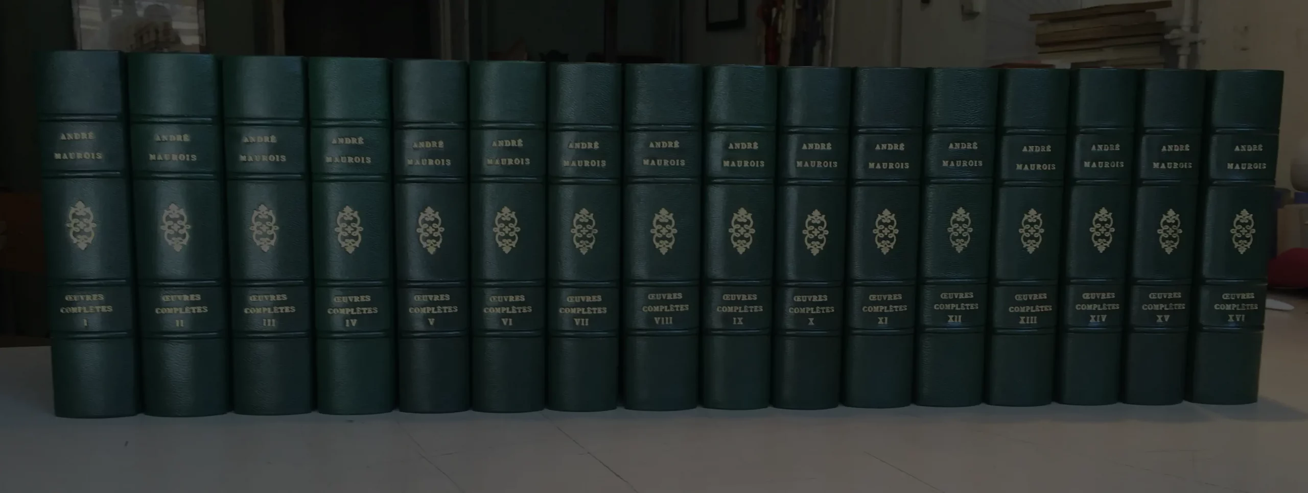 La reliure artisanale : tradition et passion du livre